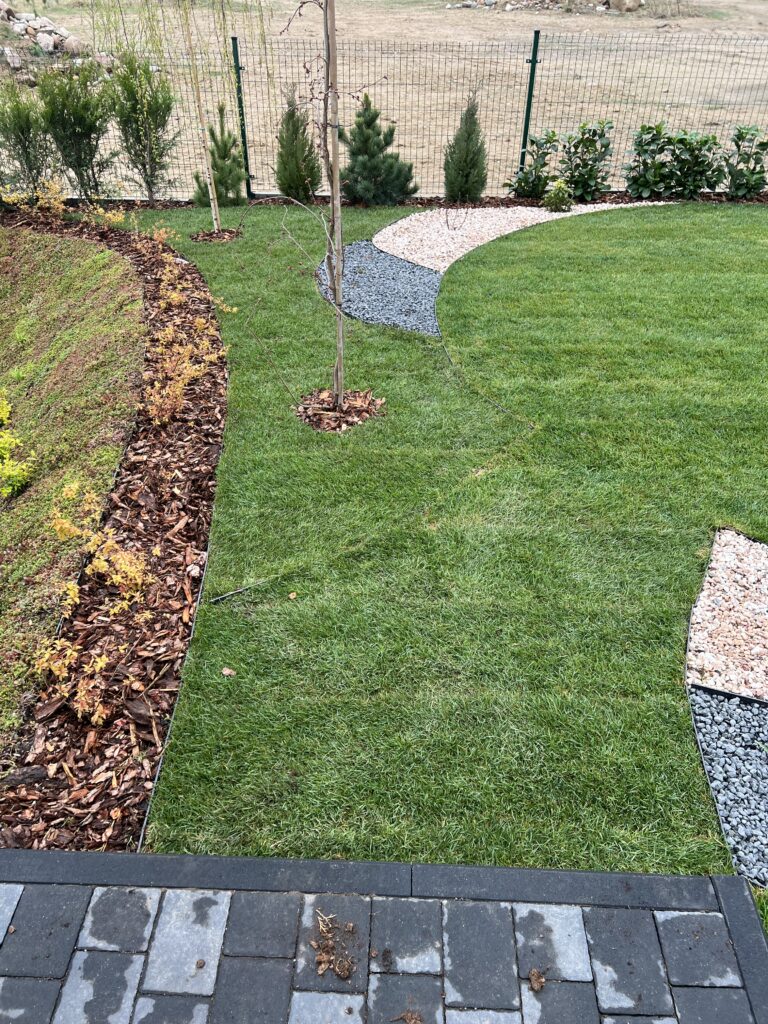 IMG 0936