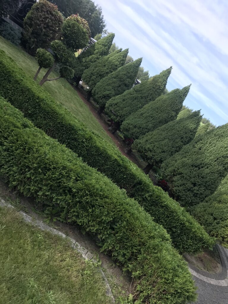 IMG 3293